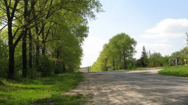 жарти